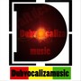 DUBVOCALIZA MUSIC