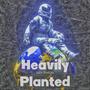 Heavily Planted (Explicit)