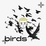 Birds (Explicit)