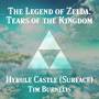 Hyrule Castle (Surface) (From 