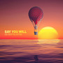 Say You Will