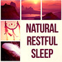 Natural Restful Sleep - Relaxing Sounds and Long Sleeping Songs to Help You Relax at Night, Healing Through Sound and Touch