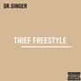 Thief Freestyle (Explicit)