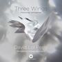 Three Wings - Ave Maris Stella