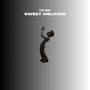 Sweet Melanin (Explicit)