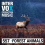 Forest Animals