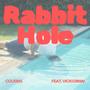 Rabbit Hole (feat. Vicki Dimai) [Explicit]