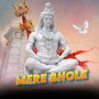 Mere Bhole