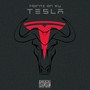 Horns on My Tesla