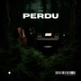 PERDU