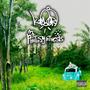 Photosynthesis (Explicit)