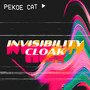 Invisibility Cloak