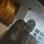 SNAP (Explicit)