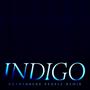 Indigo (Potatohead People Remix) [Explicit]