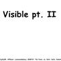 Visible pt. II (feat. 3je9j2@, APEKear!, LuminatedGalaxy, BEMFOY, xe, Sillst, 2wOs, Mateuckx & EnderK) [Explicit]