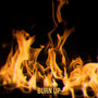 Burn Up
