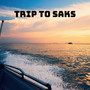 Trip To Saks (Explicit)