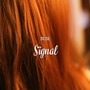 Signal