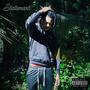 Statement (Explicit)