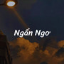 Ngẩn Ngơ