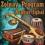 Zolnay Program