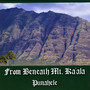 From Beneath Mt. Ka'ala (Explicit)