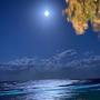WISH I DIDN'T MISS YOU (Explicit)