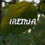 Iremia