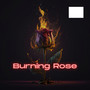 Burning Rose