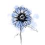 Blue Sunflower