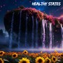 Healthy States (Remix)