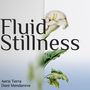 Fluid Stillness (Through the Divide)