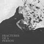 Fractures of a Person (Explicit)