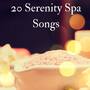 20 Serenity Spa Songs - The Best Massage Music of 2017, Calming Background Sounds of Nature