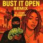 Bust It Open (feat. Ladawn The Chameleon) [Explicit]