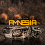 Amnesia