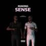 Making Sense (Explicit)