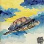 Flying Turtle