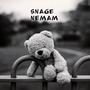 SNAGE NEMAM (feat. Amke) [Explicit]