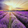 Lavender Fields