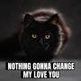 DJ - NOTHING GONNA CHANGE MY LOVE YOU