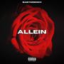 Allein (Explicit)