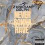 Never gonna have (Explicit)