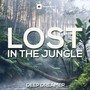 Lost in the Jungle (432Hz Ambient Edit)