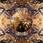 Downcast