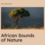 African Sounds of Nature