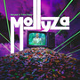 MollyZa (Explicit)