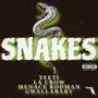 SNAKES (Explicit)