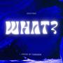 What? (feat. Parada903) [Explicit]