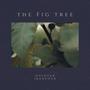 The Fig Tree